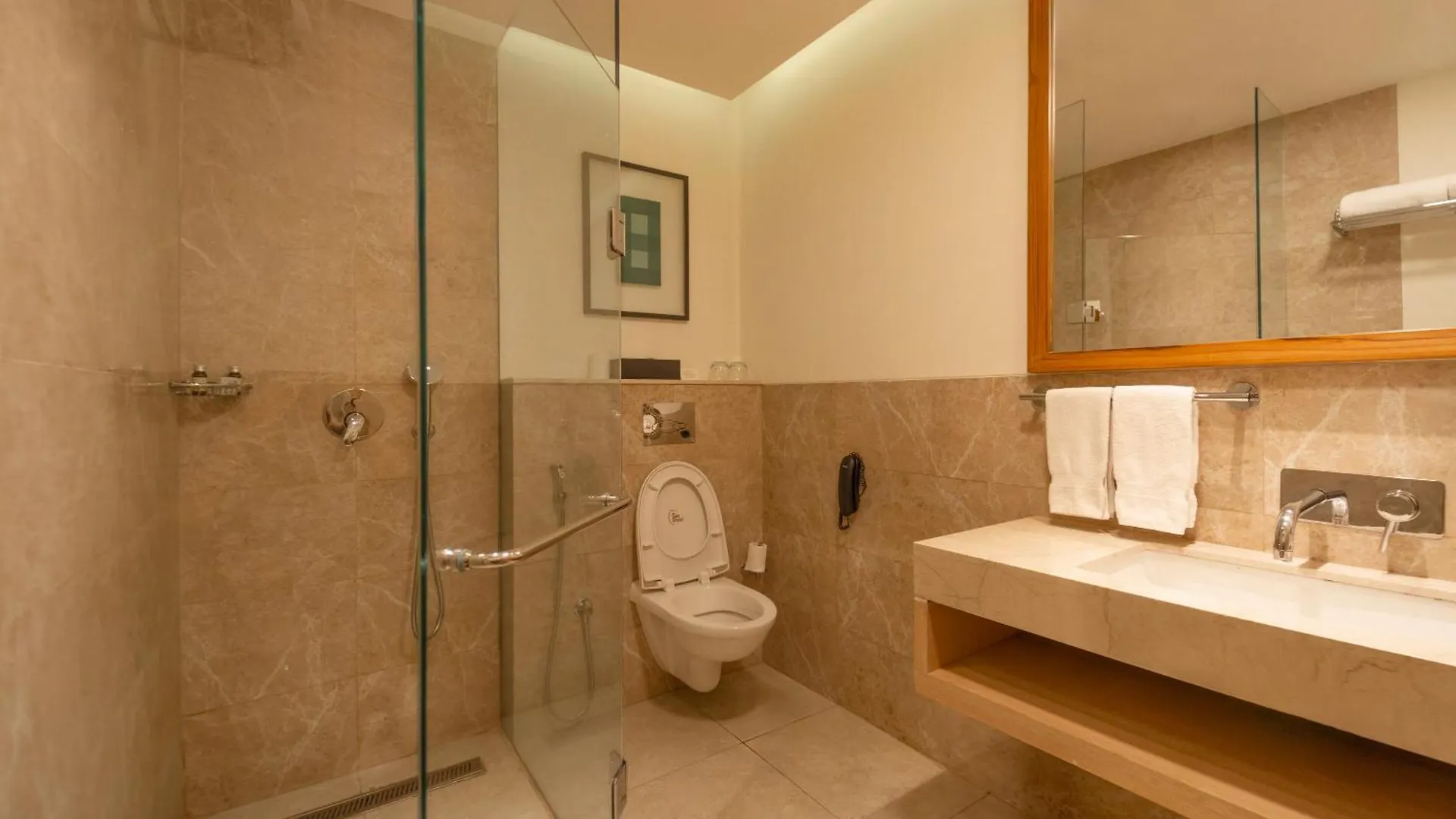The Zion Shimla Hotel 4*,